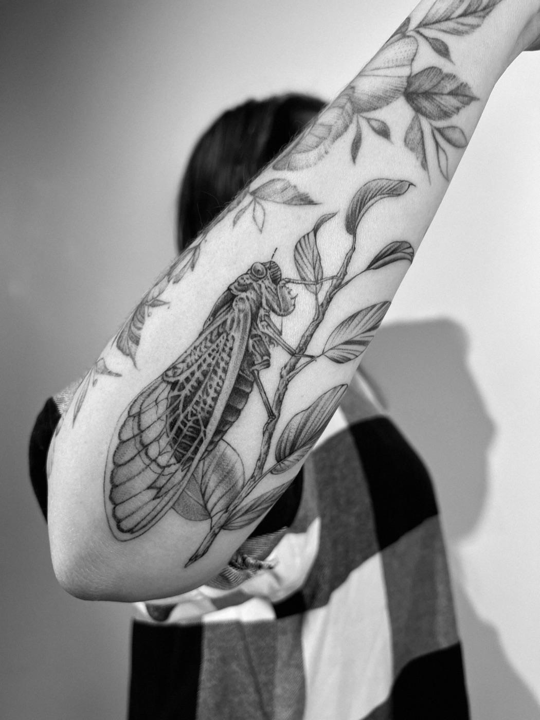 Black and grey cicada tattoo